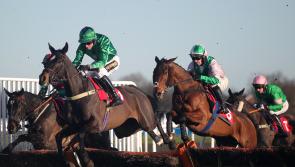 Cannon firing on all cylinders as Cheltenham looms large