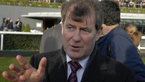 National purchase Enjoy D&rsquo;allen ticks the boxes for JP McManus