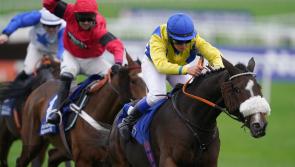 Nervous Cheltenham wait for connections of Kansas City Chief