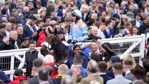 Marie&rsquo;s Rock makes in an opening-day double for Henderson and De Boinville