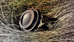 Limerick city jumps six places in league table following latest IBAL litter survey