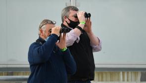 'I still get a fabulous buzz out of training winners' - Noel Meade still eyeing winners at Punchestown 