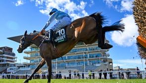 RACING: In-depth preview of the big races at Cheltenham 2022