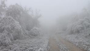 ALERT: Met &Eacute;ireann warns of frost and icy patches as temperatures drop