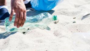 Reducing your use of plastics can help save the planet