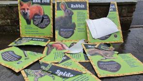 Limerick nature trail blighted by vandals for second time