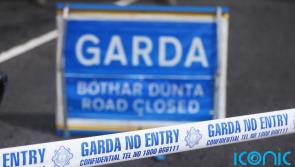 Gardai investigating alleged sex attacks on teenage girls