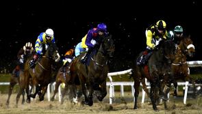 RACING: Top tips for Friday's card at Dundalk 