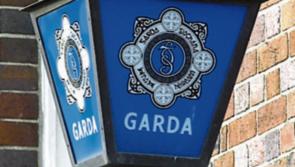 Suspects in connection with Wicklow fatal assault released without charge