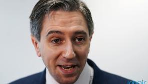 Sinn F&eacute;in's willingness to appoint advisors with criminal convictions 'astonishing' - says Harris 