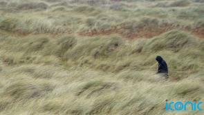 Thousands of homes across south and west of country without power as Storm Eunice batters Ireland