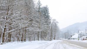 Ireland snow latest: Forecaster pinpoints areas most at risk with 10cm possible