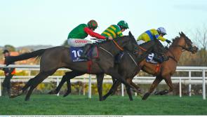 RACING: Top tips and analysis for today's card at Leopardstown 