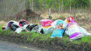 Bill passed to allow local authorities to use CCTV To tackle illegal dumping 