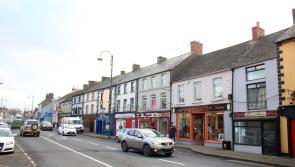 Council seeks Limerick groups to enter Pride of Place competition