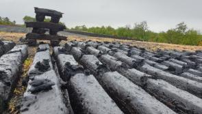 Eamon Ryan says regulation of turf will address 'chronic health issues'