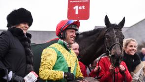INTERVIEW: Puppy Power looks back on his finest seasons as Punchestown 2022 begins