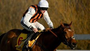 Up-and-coming jockey Jack Foley making the most of early career opportunities 
