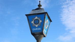 Woman charged over fatal assault in County Carlow, Court date set