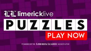 Limerick Live Interactive Puzzles