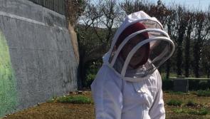 Hive of industry: Limerick's youngest beekeeper celebrates World Bee Day