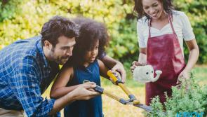Budget tips and tricks to get your garden looking summer ready