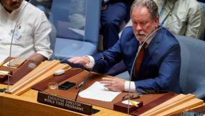 'We're trying every angle' - UN World Food Programme calls upon Musk and other billionaires for help