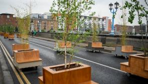 Time for another Limerick Live poll!