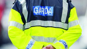 Garda extradition unit arrests 12 fugitives connected with drugs and murder offences 