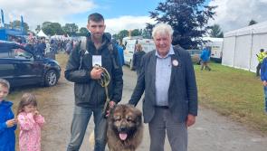 WATCH: Thousands soak up the atmosphere at Charleville Show
