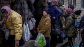 New UN report paints 'grim picture' as world hunger rises