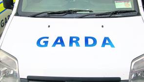 Garda&iacute; arrest two people for public order offences in Limerick town
