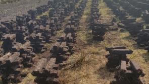 'Common sense' solution on turf cutting welcomed as solid fuel regulations are agreed