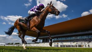 Your guide to Irish Oaks day at the Curragh