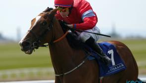 Apprentice jockey remains in intensive care following fall at Galway Races