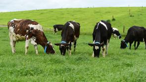 Farmers hit out at proposals to class farm land for residential zoned tax 