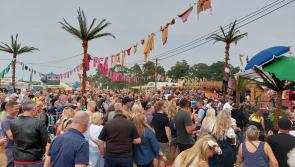 Best of the Fest - All the Must-See Acts and Events on Electric Picnic Day 2