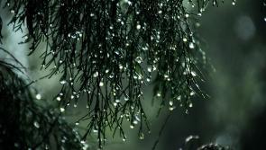 WEATHER WATCH: A wet and windy weekend ahead as status yellow rainfall warning issued