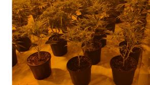 Gardai seize drugs valued at almost &euro;500,000 following search