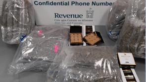 Irish revenue officers seize illegal drugs disguised as parcels from toy company