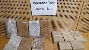 Two arrested in relation to seizure of illegal drugs worth over &euro;1m