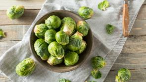 Ode to a Brussel Sprout - How to make this humble vegetable taste delicious this Christmas