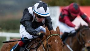 WATCH: Limerick jockey Wesley Joyce celebrates first win since returning from serious injury lay-off