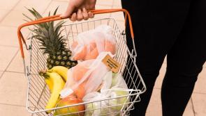 GUIDE: Tips for family food shopping as inflation rises