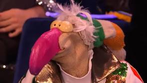 TWITTER REACTS: Dustin the Turkey makes a surprise appearance at Eurovision 2023 in Liverpool