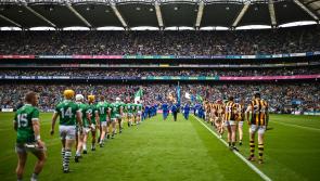 Over a million people watch Limerick's historic All-Ireland success on RT&Eacute;