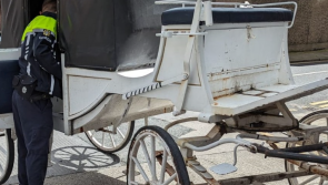 GALLERY: Inspections of horse drawn carriages result in two arrests