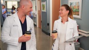 Grey&rsquo;s Anatomy star plays detective in new RT&Eacute; drama 
