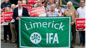 'Quite simply, this government is failing farmers' - IFA president