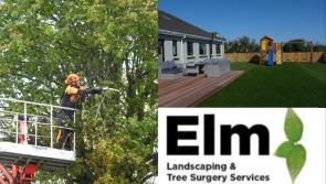 Garden maintenance and tree surgery services with Elm Landscaping